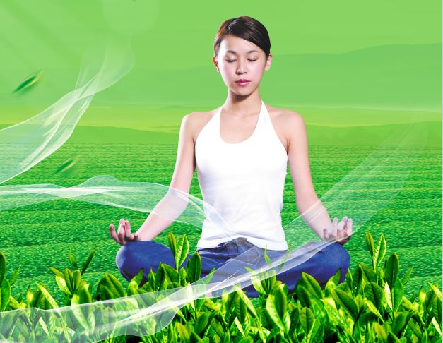 西康涅狄格州立大学EnvironmentalScienceDegreeCertificate